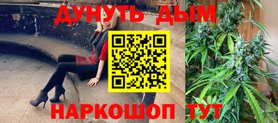 мяу мяу мука Будённовск