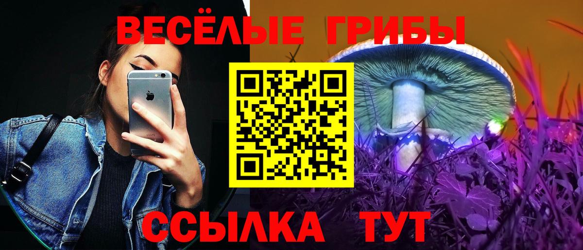 Галлюциногенные грибы Cubensis  Вход с VPN  Слободской 
